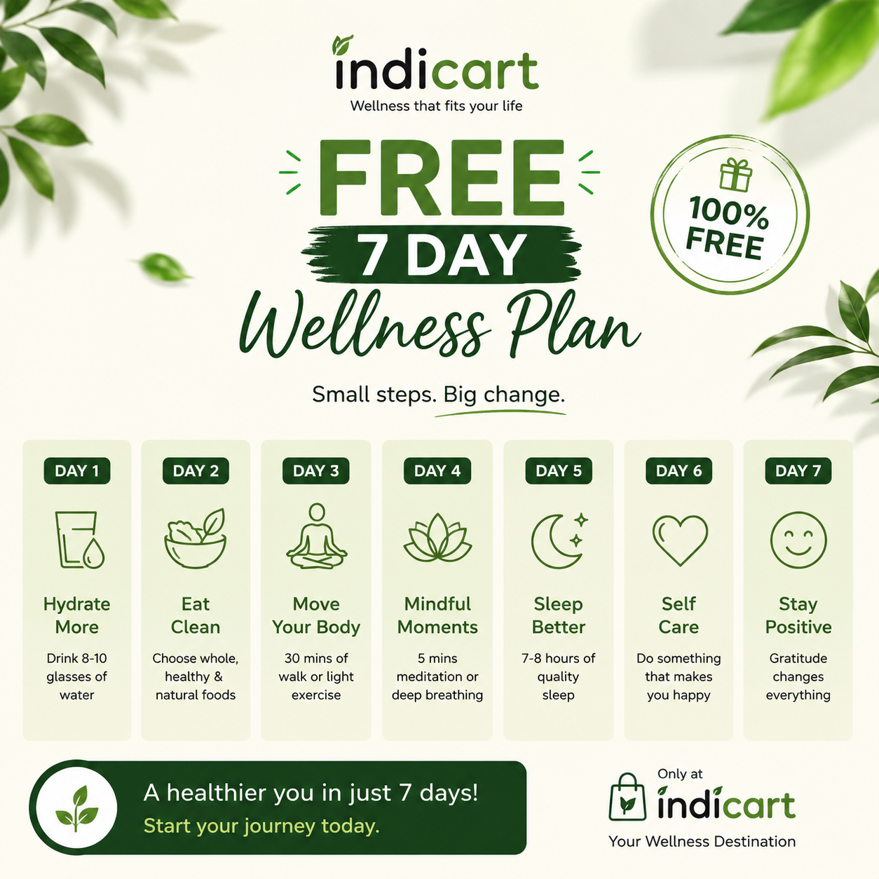 Indicart I 7 days wellness Plan